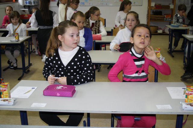 Megyei helyesírási verseny